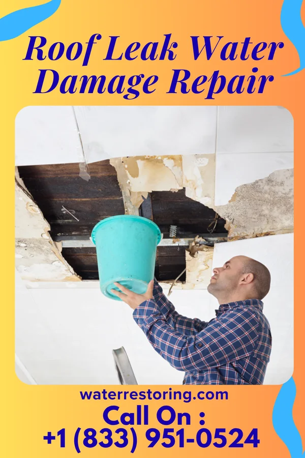 Roof Leak Water Damage Repair in Sharon, TN