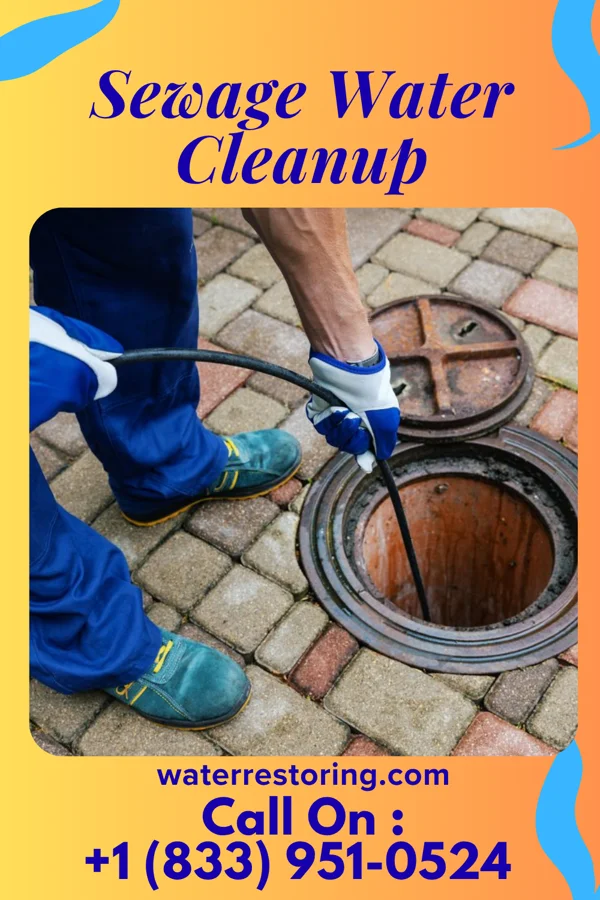 Sewage Water Cleanup in Sharon, TN